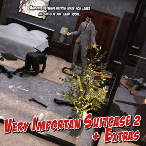 2020 - 17 - VIS Very Important Suitcase 02