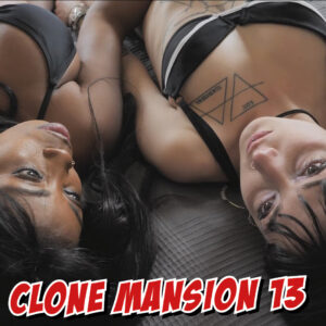 2022 - Clone Mansion 13 - Take downs 3
