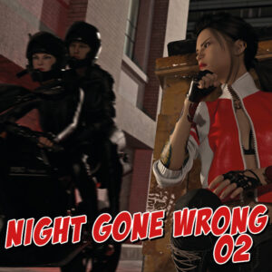 2022 - 29 - Night gone wrong 02