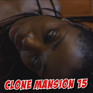 2023 - 01M - Clone mansion 15